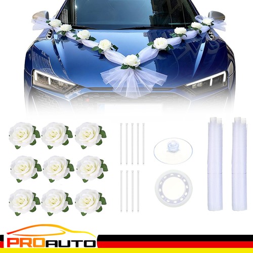 Paar auto schmuck - paar,